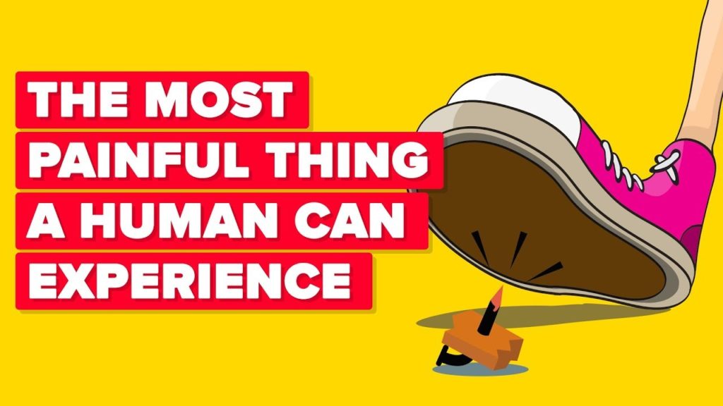 Video Infographic The Most Painful Things A Human Can Experience Infographic Tv Number