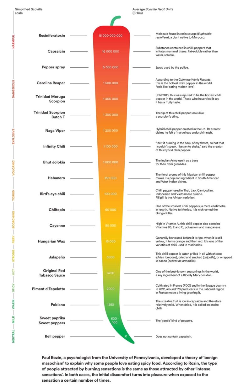 Visual Easy Guide To The Scoville Heat Scale Infographic Tv Number One Infographics Data