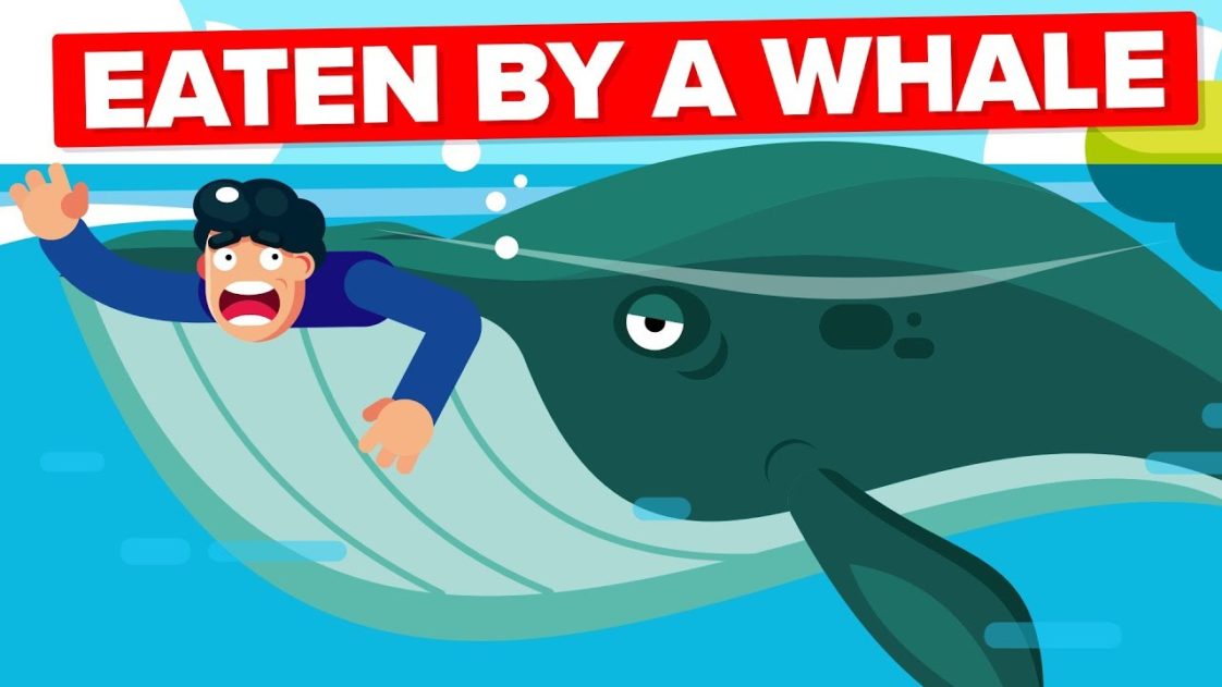 video-infographic-what-if-a-whale-accidentally-swallowed-you