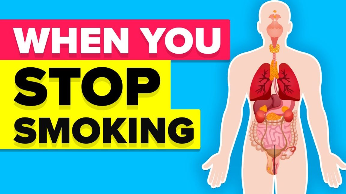 Video Infographic : This Is What Happens To Your Body When You Stop ...
