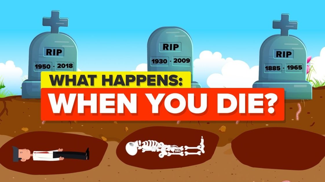 Video Infographic What Happens When You Die? Infographic.tv