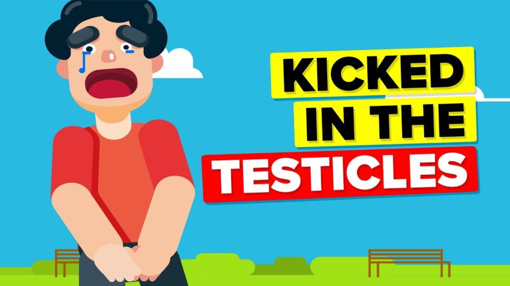 Video Infographic Why Does Getting Kicked In The Testicles Hurt So Badly Infographic Tv