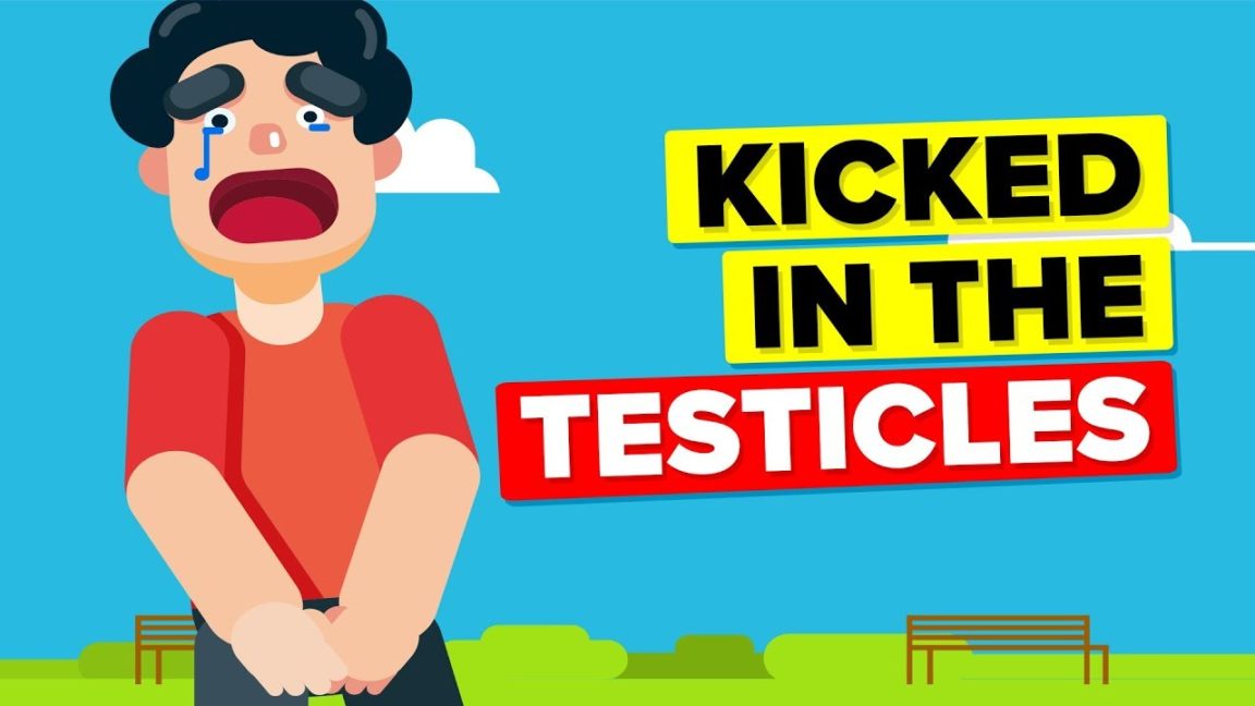 Video Infographic Why Does Getting Kicked in the Testicles Hurt So