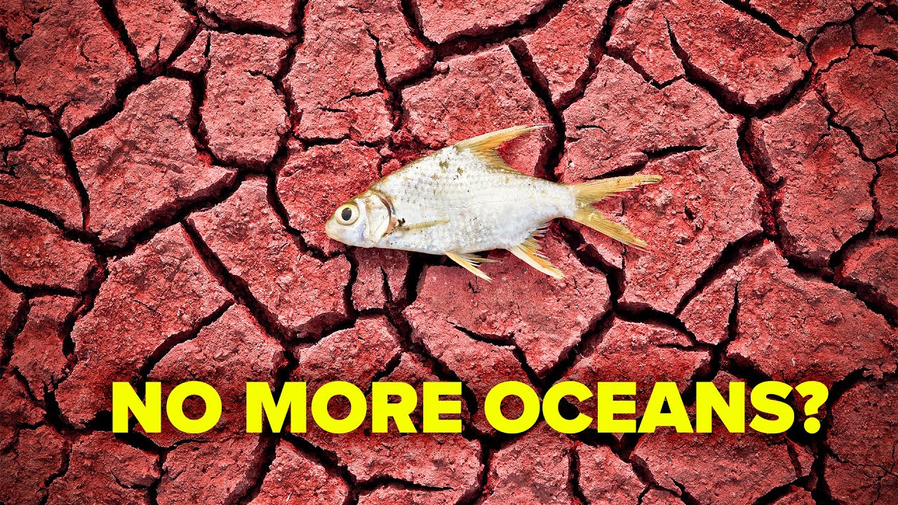 Video Infographic What If All the Worlds Oceans Dried Up