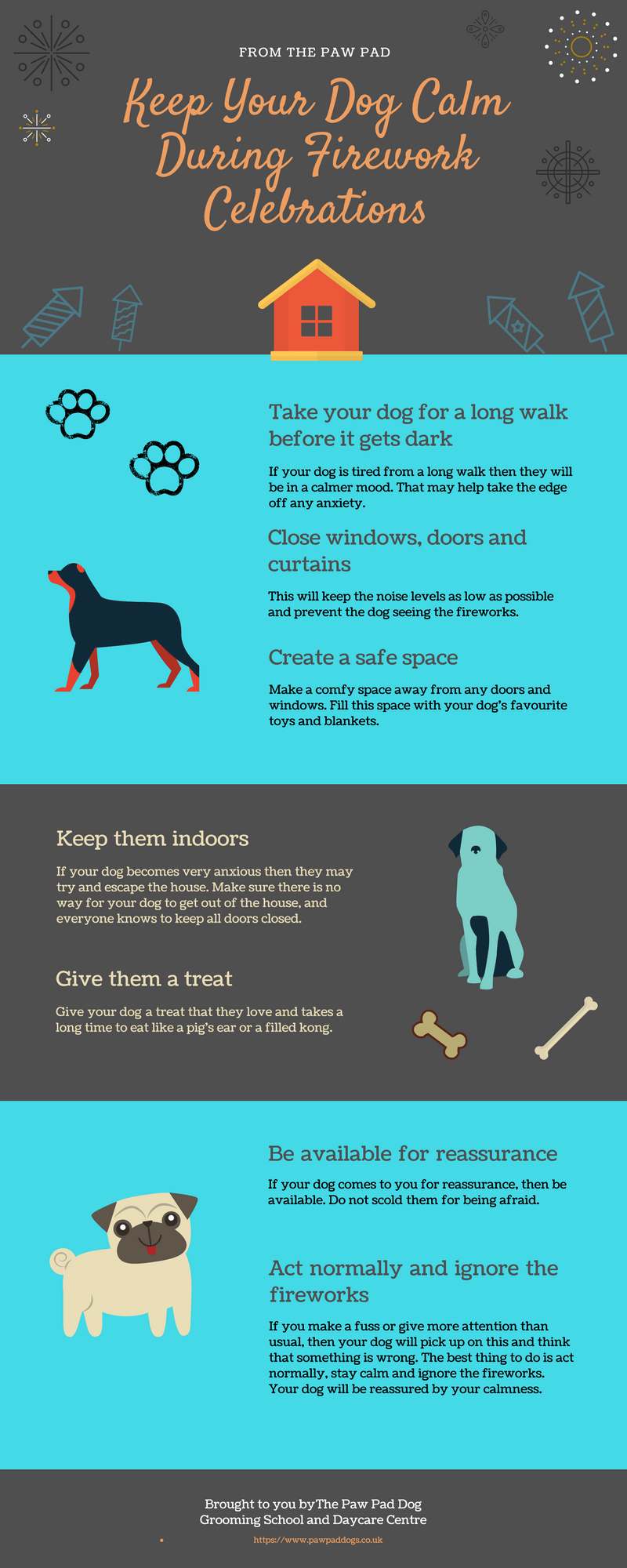 Infographic : Keep Your Dog Calm During Firework Celebrations This NYE ...