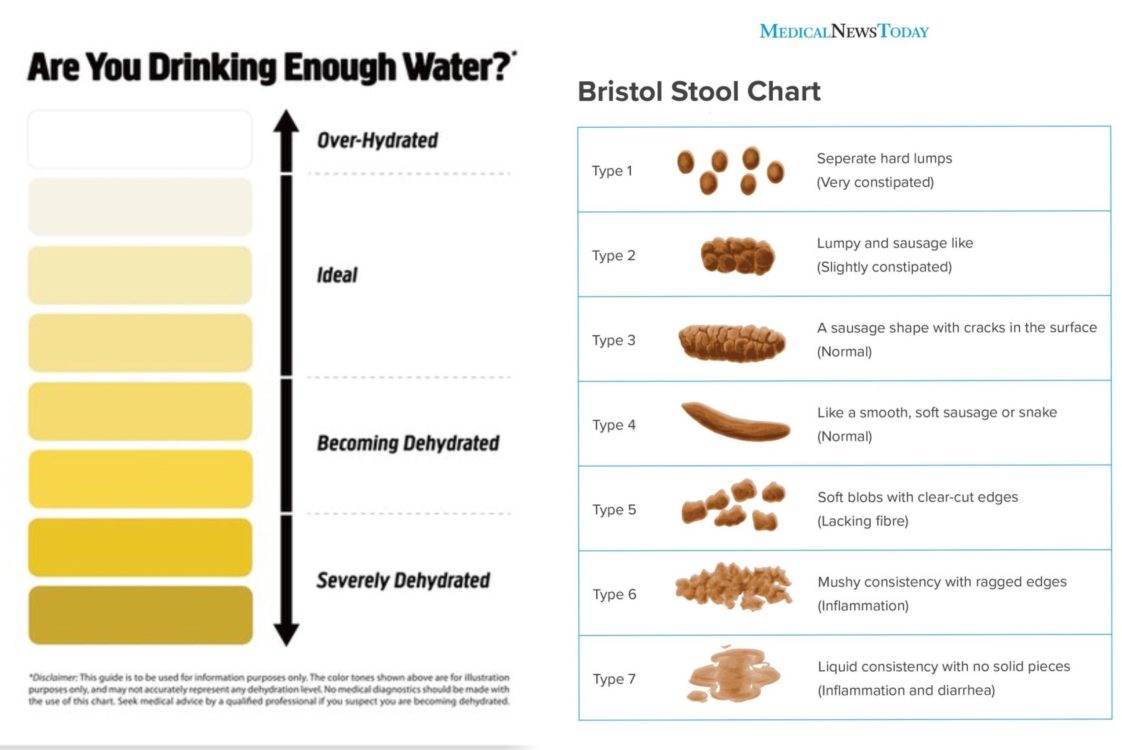 Visual Urine and Stool health charts Infographic.tv Number one infographics & data Data
