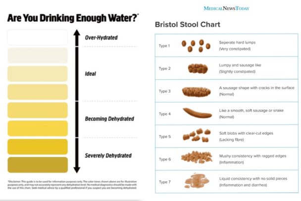 Visual : Urine and Stool health charts – Infographic.tv – Number one ...
