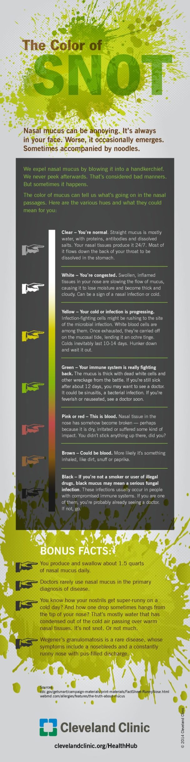 visual what the color of snot tells you infographictv number