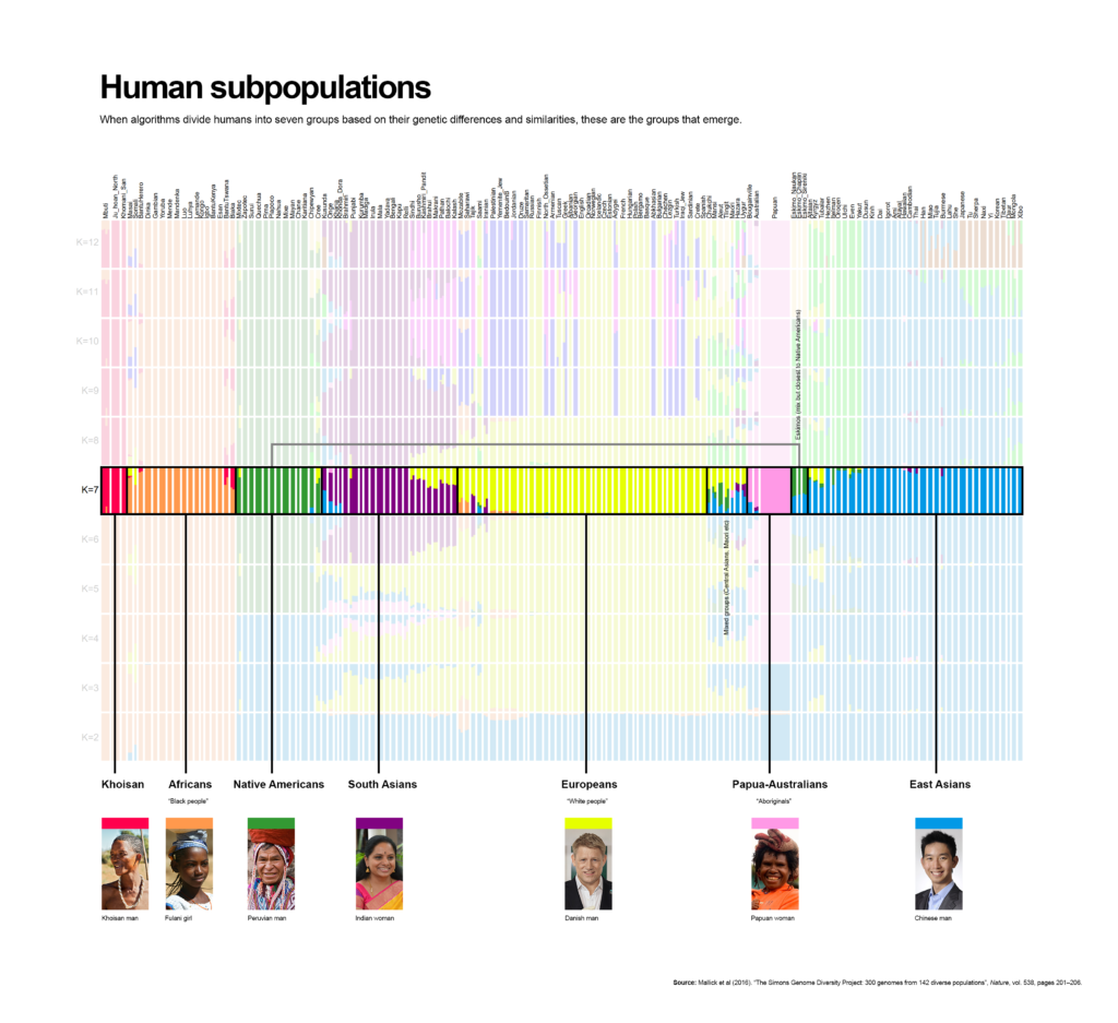 Subpopulation Chart data visualization : Human subpopulations, according to genetics [OC ...