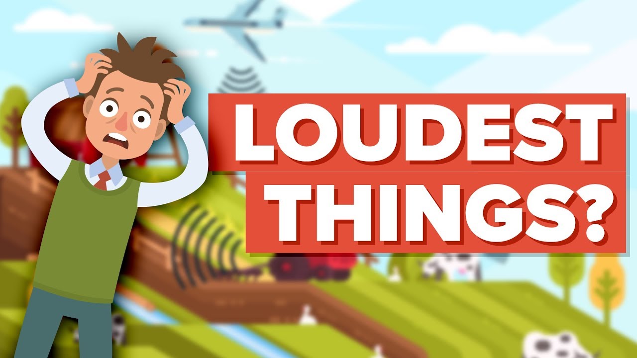 Video Infographic What Are The Loudest Sounds You Can Hear