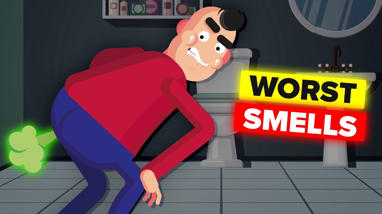 Video Infographic What Is The Worst Smell In The World Infographic