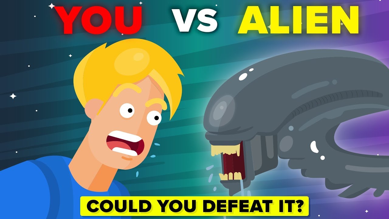 Video Infographic You Vs Xenomorph How Can You Defeat And