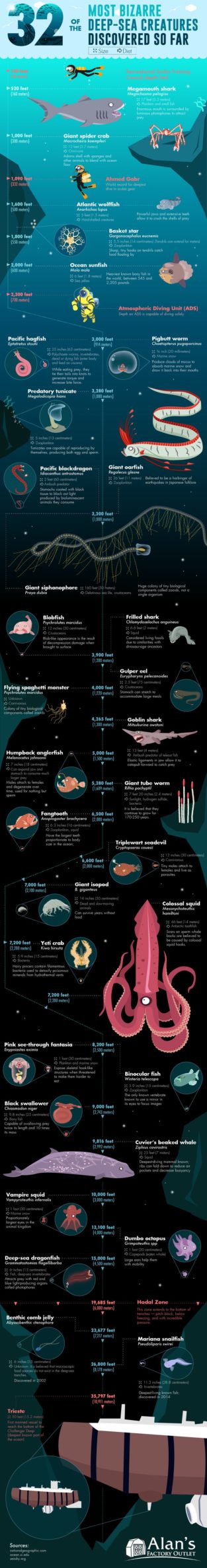 Data Chart : 32 Bizarre Sea Creatures that occupy the waters deep below ...
