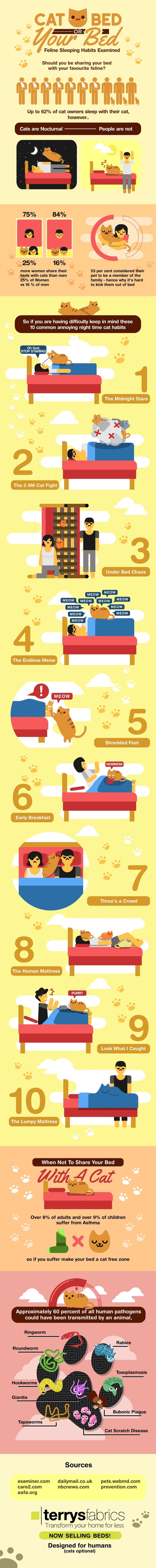 Cat Naps: Should You Share A Bed With Your Feline Friends? [Infographic
