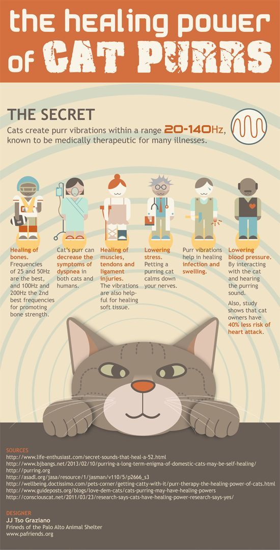 Cats create purr vibrations within a range 20-140Hz, known to be medically therapeutic for many illnesses.