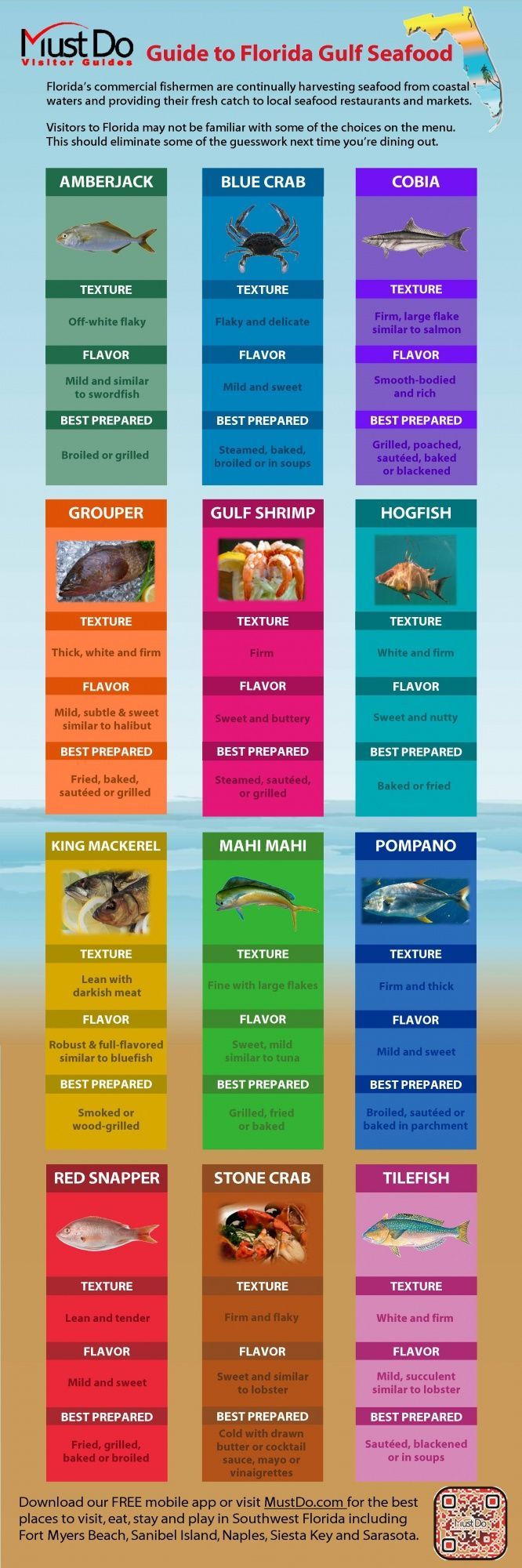 Guide to Florida Gulf Seafood Infographic