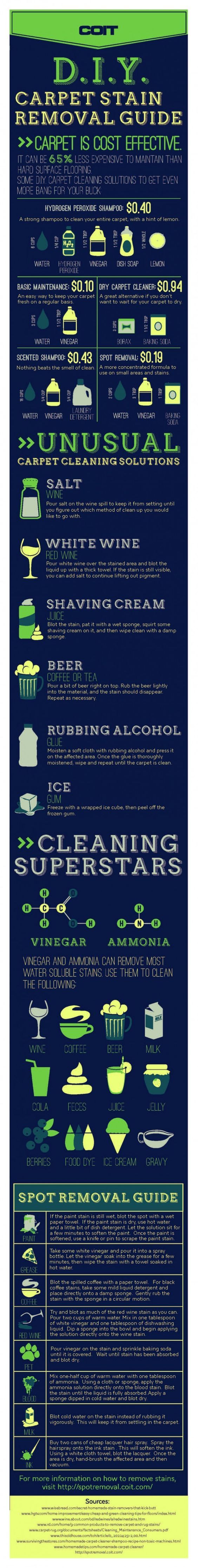 How To Deep-Clean Your Carpet On A Budget [Infographic