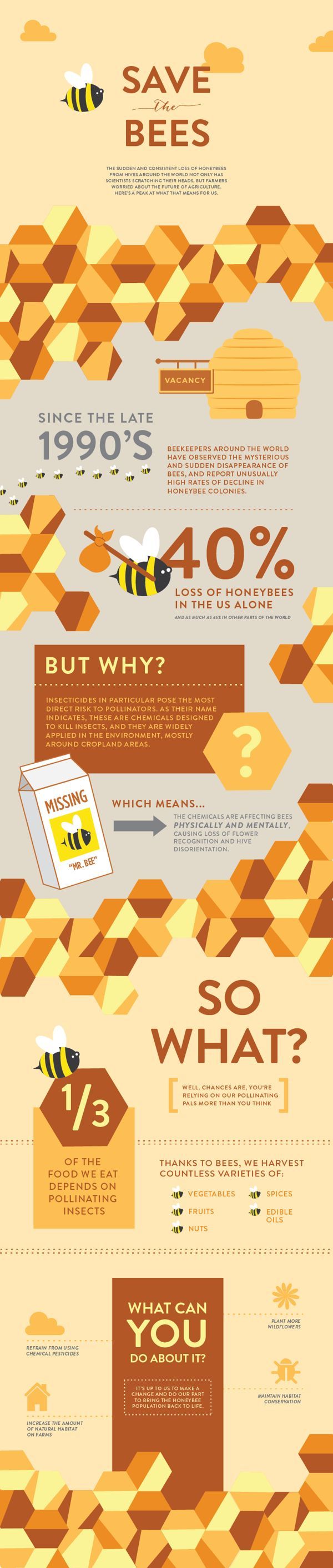 Save the bees. Save the future of agriculture. #infographic #design (View more at www.aldenchong.com)