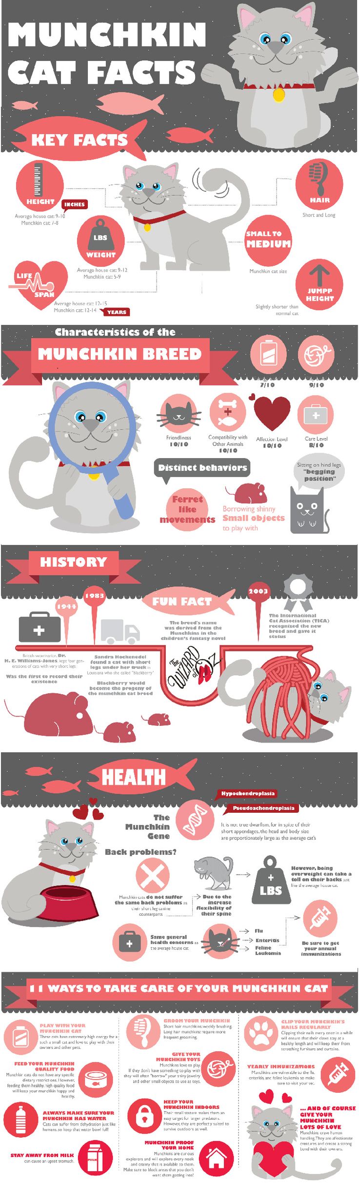 cat facts spam