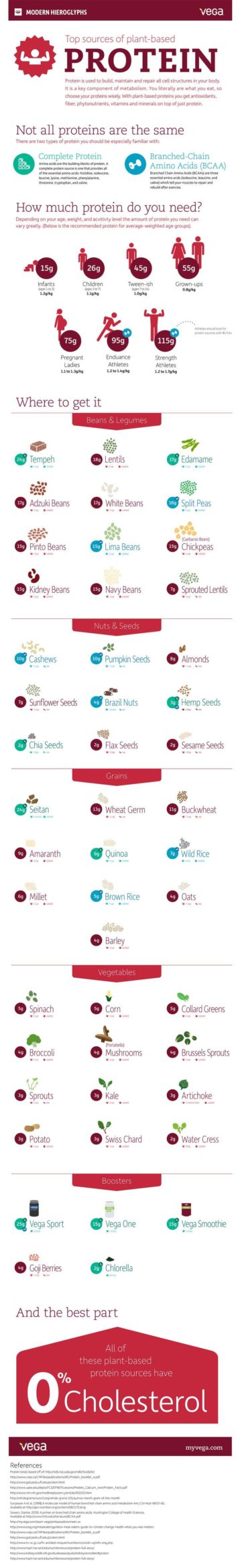 Data Chart : Top sources of plant based protein health infographic ...