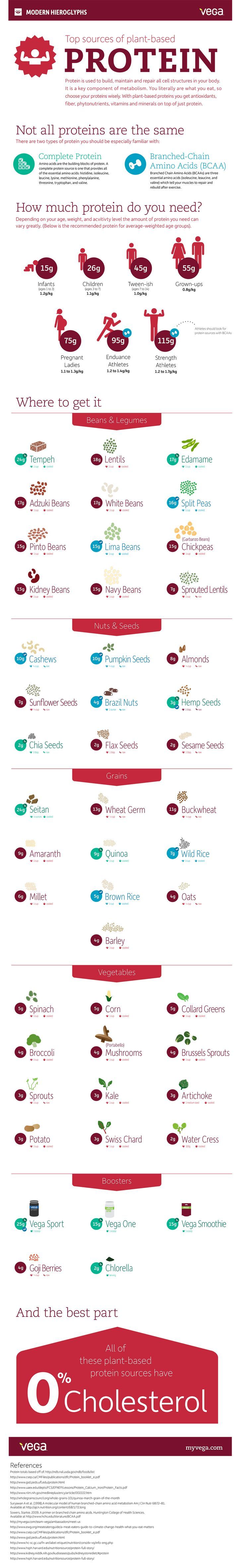 Plant Based Protein Sources Chart