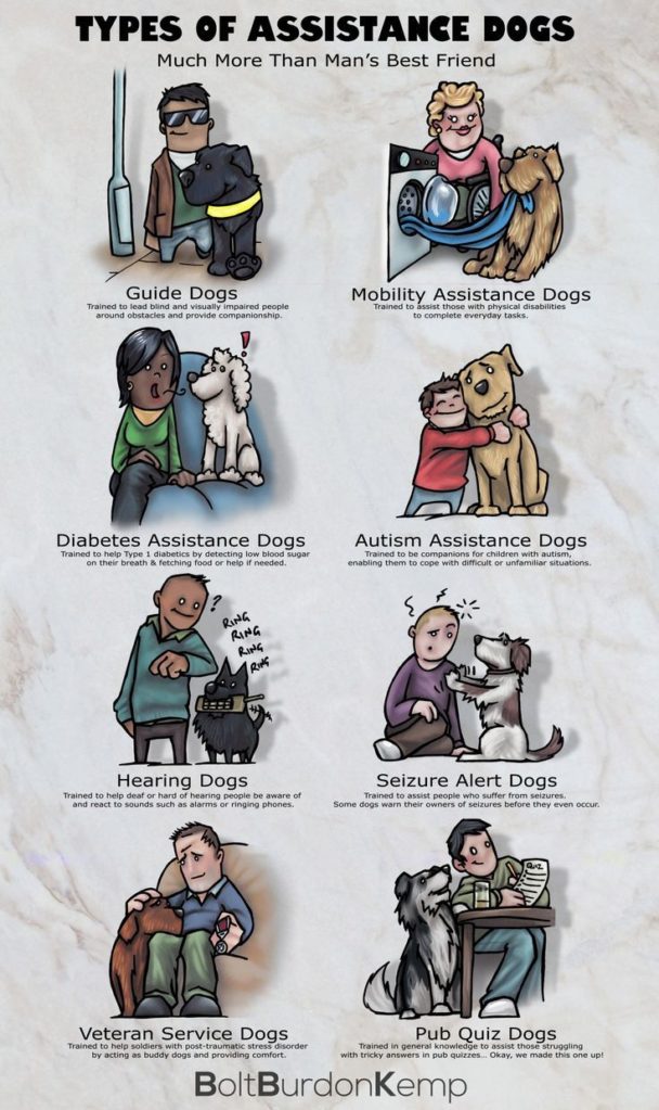 Data Chart : Types of Assistance Dogs -We have created an infographic ...