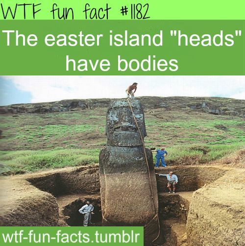 easter island head bodies MORE OF WTF-FUN-FACTS are coming HERE easer isalnd and weird facts ONLY