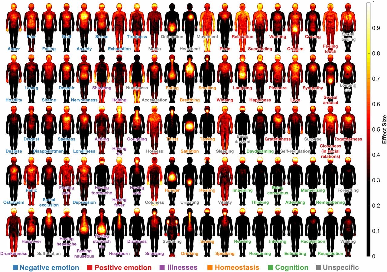Map : A cartography of consciousness – researchers map where subjective ...