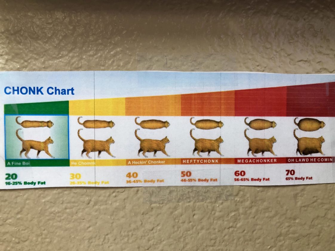 visual-chonk-chart-infographic-tv-number-one-infographics-data