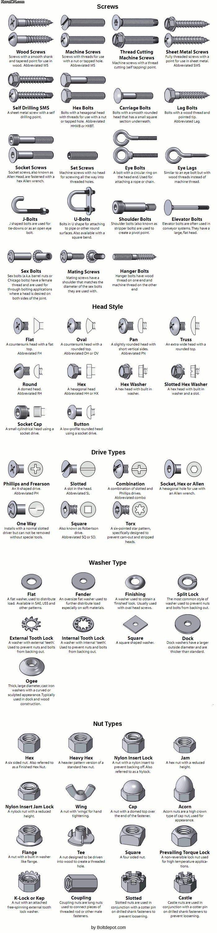 Identification Charts for Different Types of FASTENER's - Head styles, Bolt  and Screw, Drive, Washer and Nut types