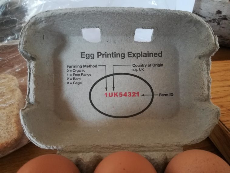 Visual Egg Printing Explained Infographic tv Number One