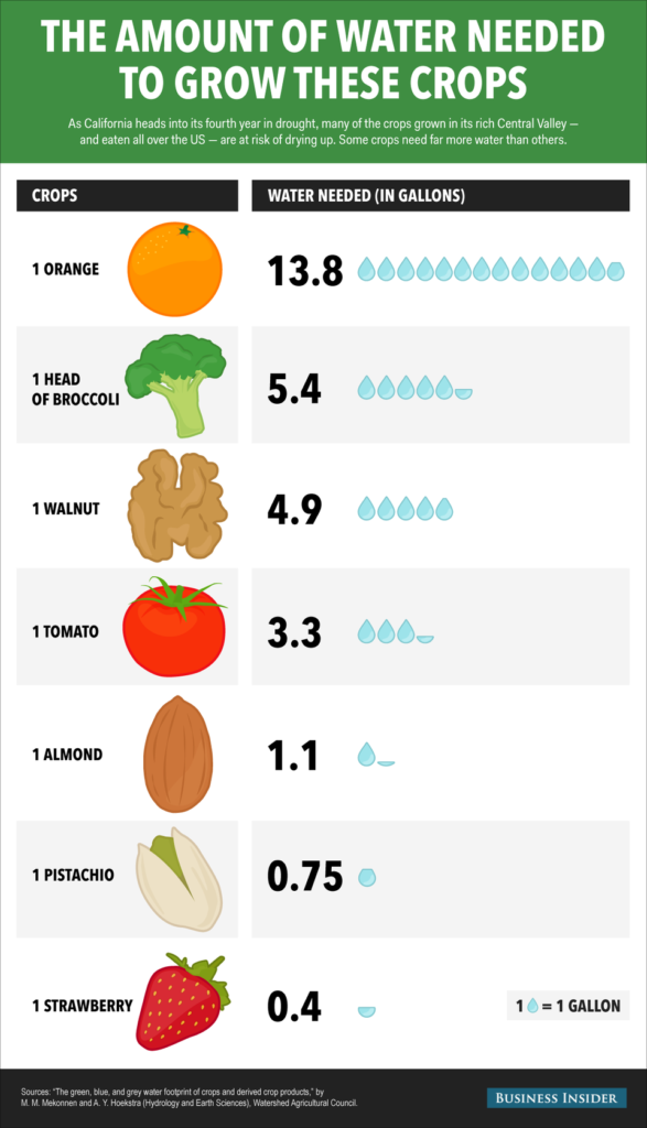 Visual How Much Water It Takes To Grow Some Common Crops