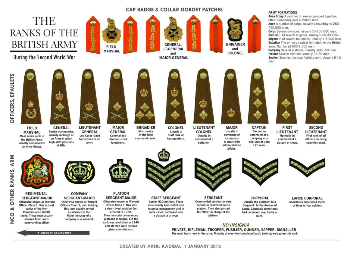 Visual Quick guide to British Army ranks Infographic.tv Number