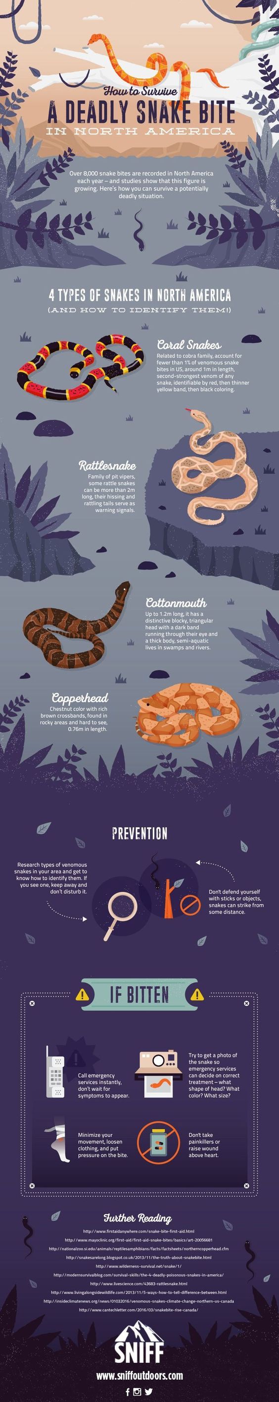 Data Chart : How To Survive A Deadly Snake Bite [Infographic ...