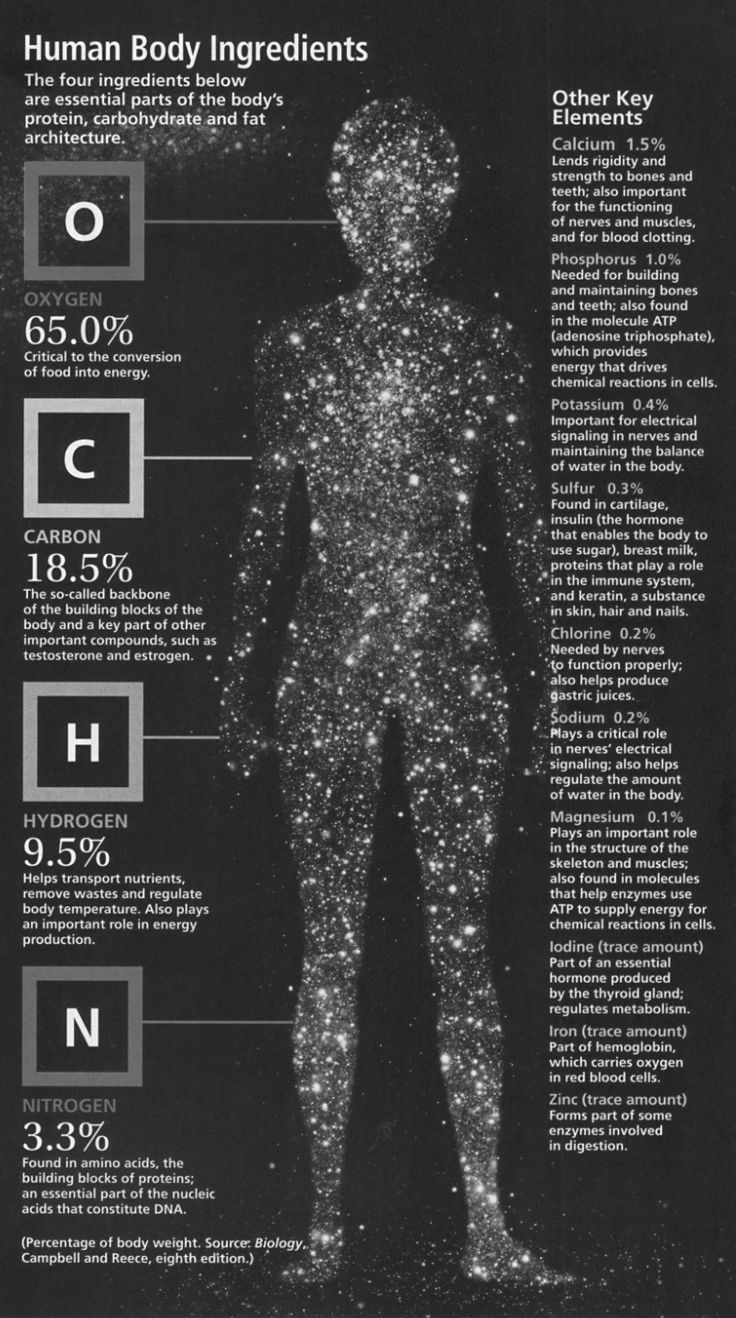 Human Body Ingredients [Infographic