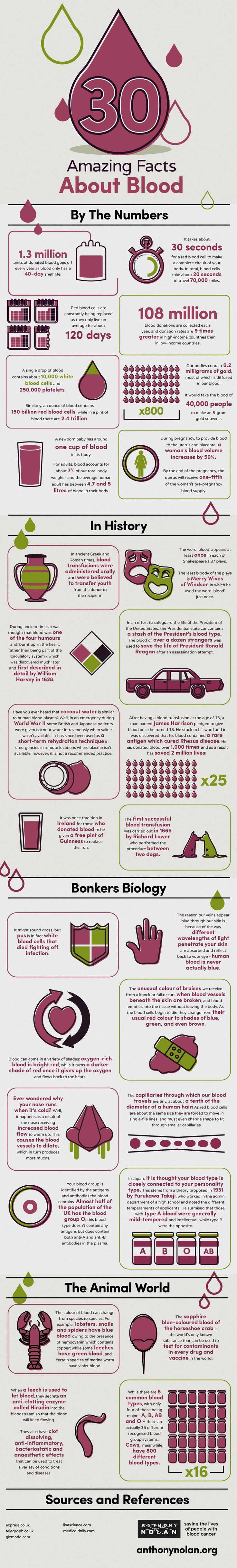 If you don't get queasy at the thought of blood, then you'll love this infographic with 30 amazing facts about our body's most vital fluid. #infographic #amazingbloodfacts