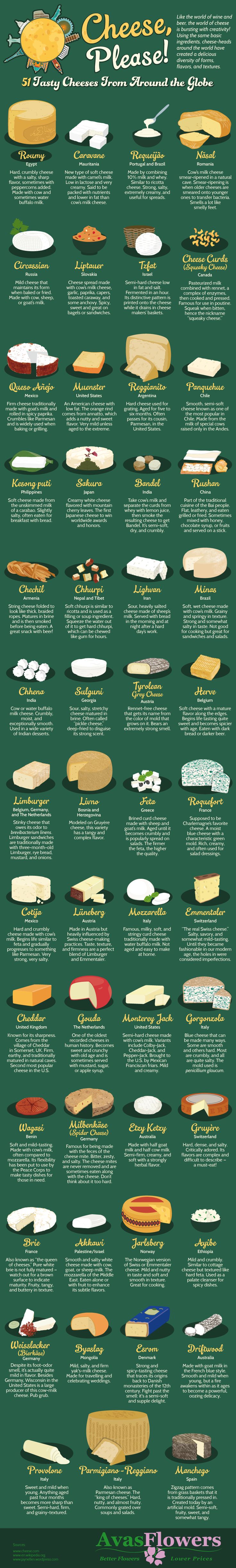 It's All Gouda: 51 Cheeses From Around The Globe [Infographic