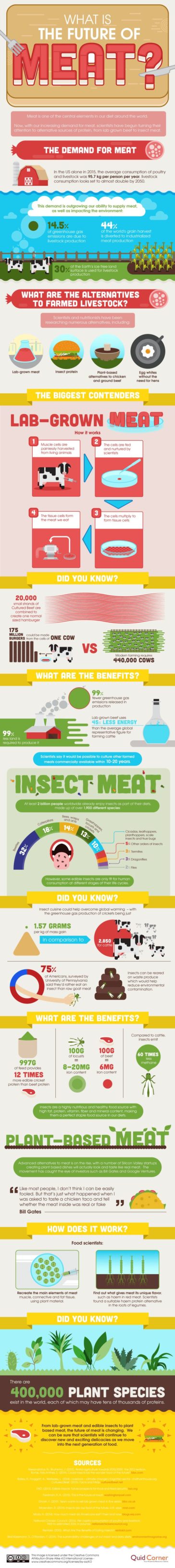 Data Chart : Meet The Future Of Meat [Infographic - Infographic.tv ...