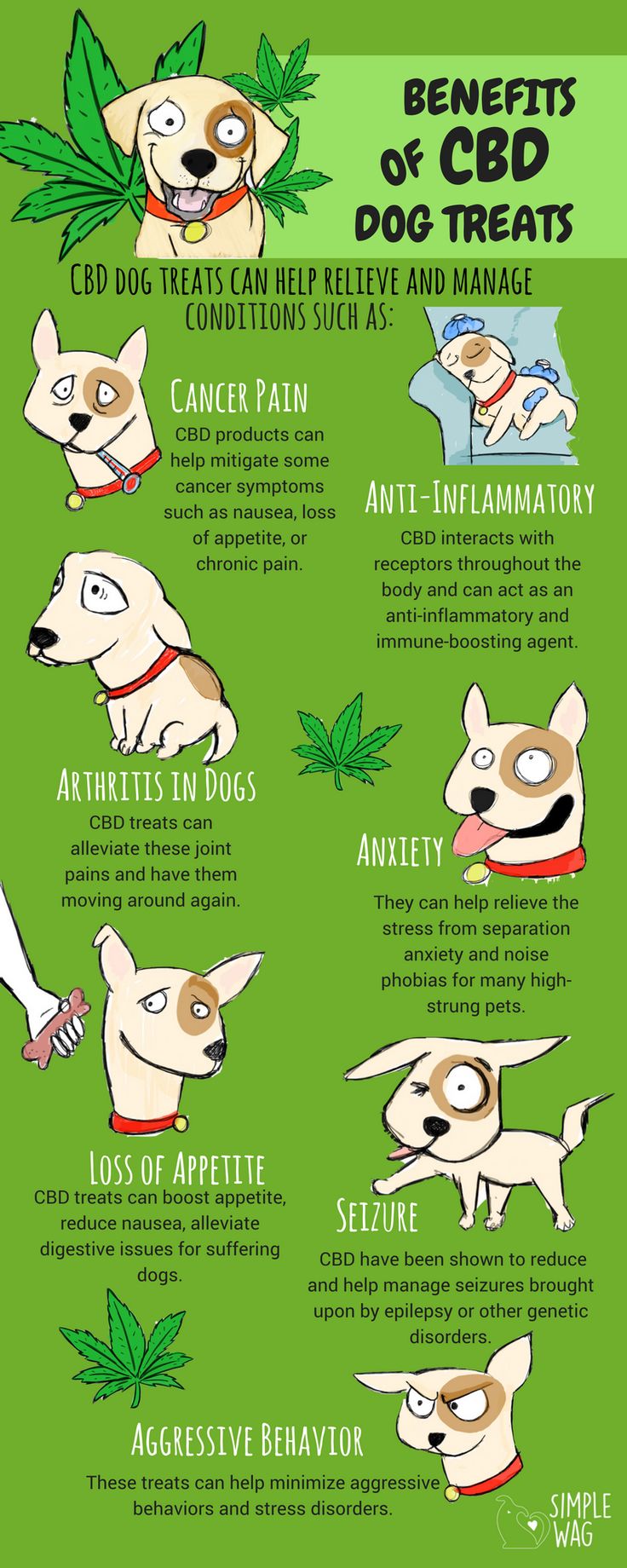 Studies will continue to build on the benefits of CBD for many types of animals. Check out the infographic today for more info! #infographic #CBDbenefits