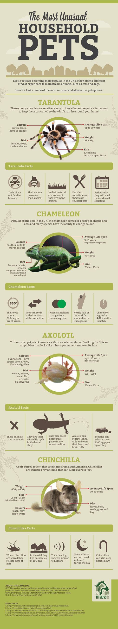 Unusual Facts about Unusual Pets [Infographic