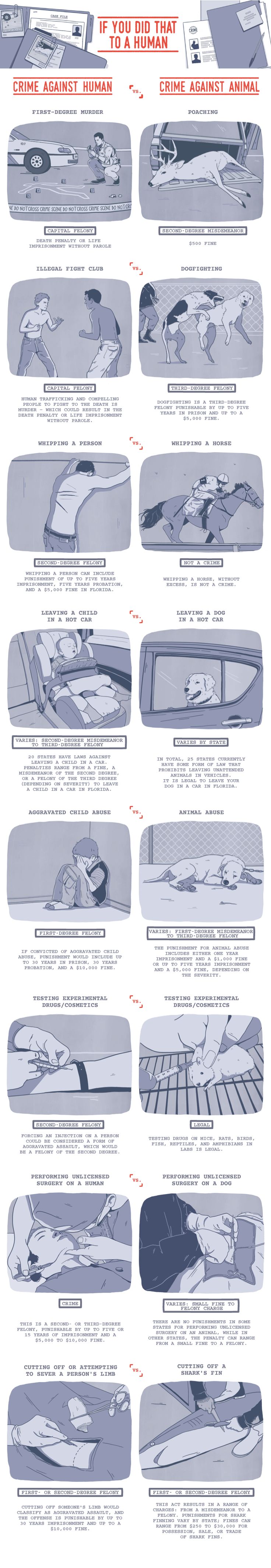 What Would Happen If We Treated Humans The Way We Treat Livestock? [Infographic