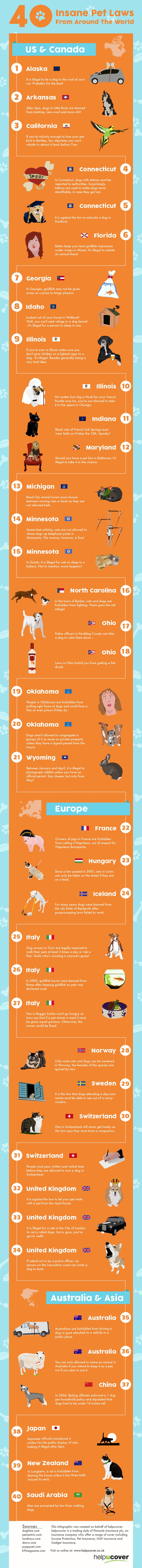 World's Weirdest Pet Laws [Infographic