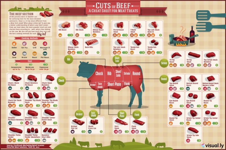 Visual : Cuts Of Beef - Infographic.tv - Number One Infographics & Data 