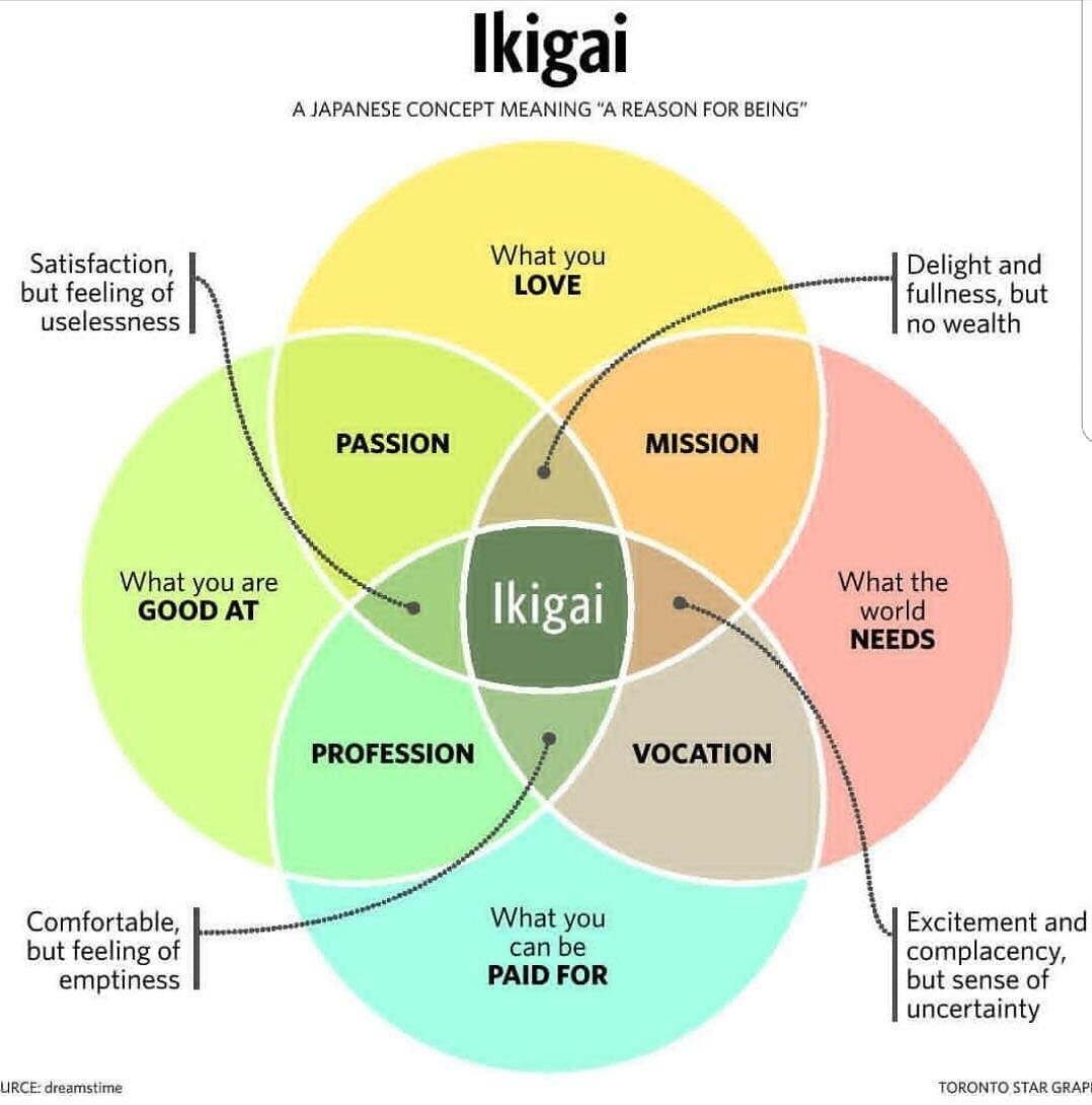 Infographic : Your ikigai is the perfect combination of being good at ...