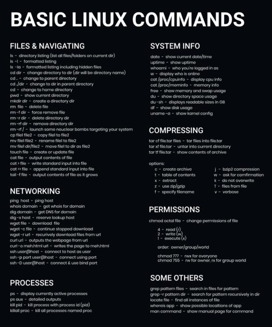 Visual : Basic Linux Commands – Infographic.tv – Number one ...