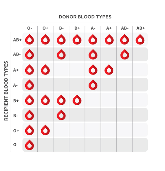 Visual : Blood Donation - Infographic.tv - Number One Infographics ...