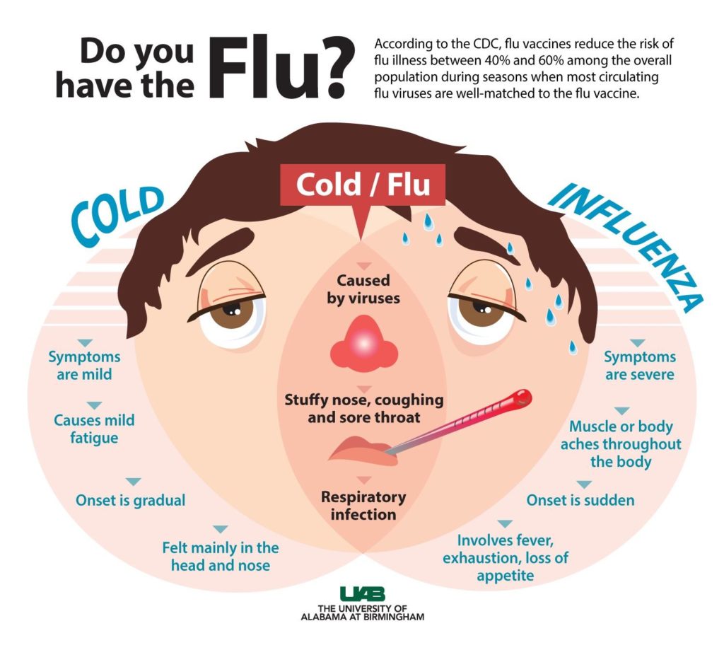 Visual Do you have the Flu? Infographic.tv Number one