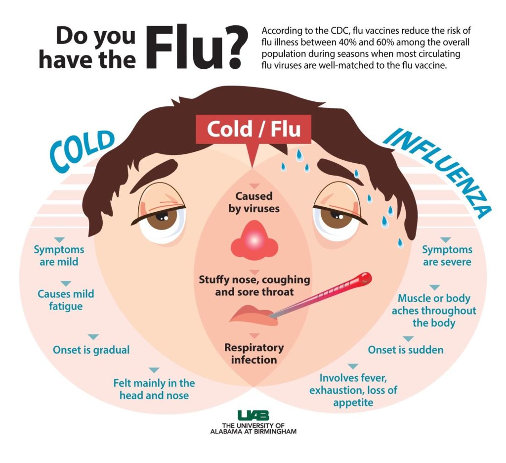 Symptoms Of The 2024 Flu Ray Leisha