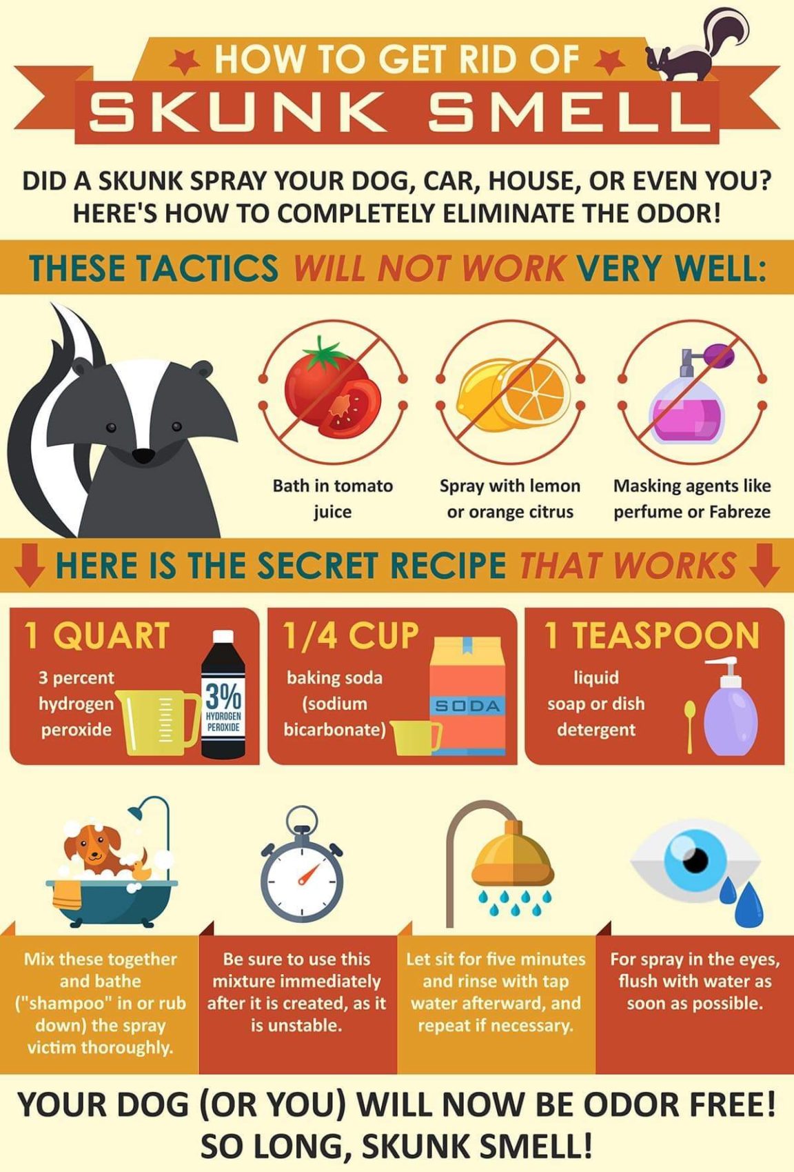 Visual How To Get Rid Of Skunk Smell Infographic.tv Number one