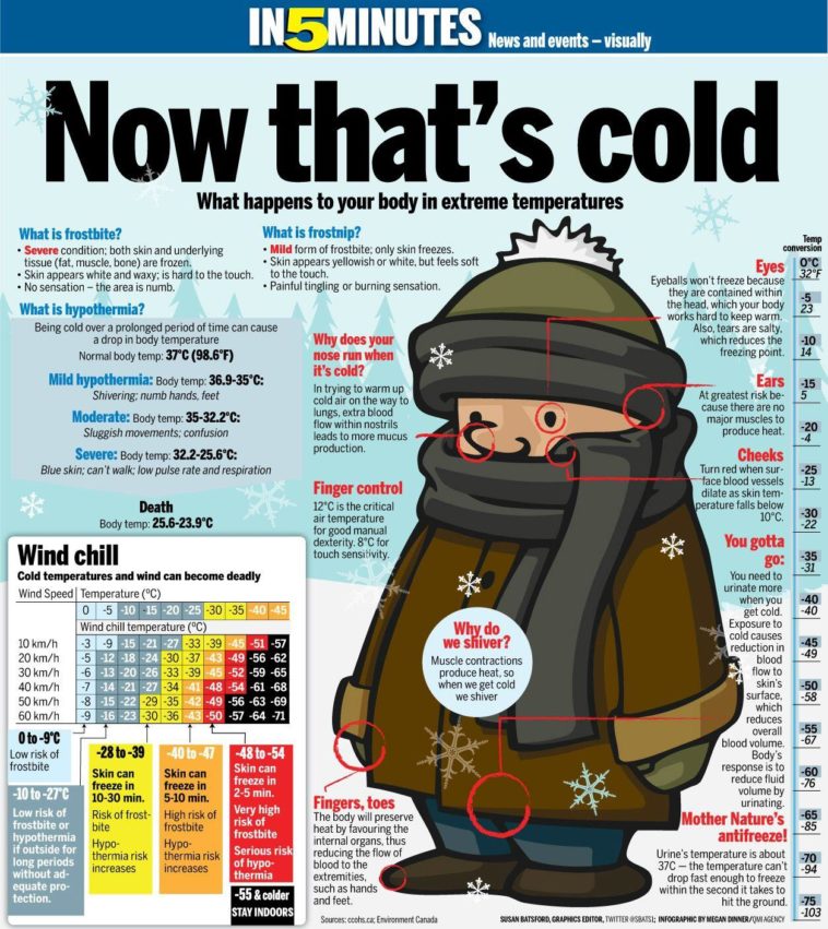Visual Nice Guide Explaining What Happens To The Human Body In Cold Temperatures Infographic